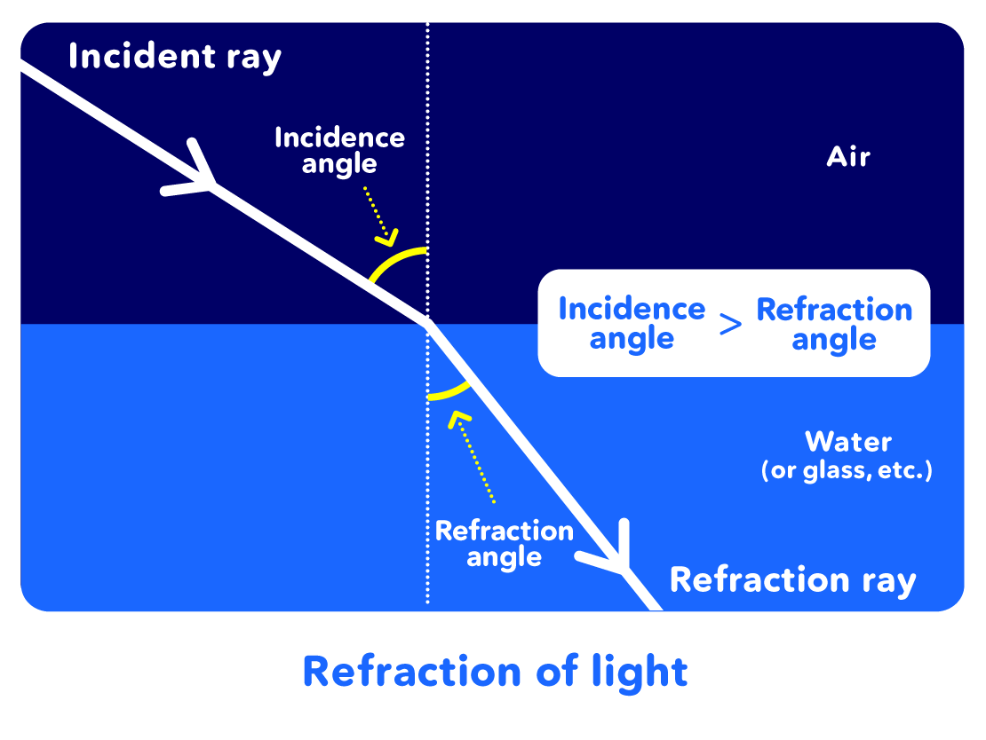 Relationship between Light and Lens - Why does looking through a lens make  an object appear bigger than its actual size? : Olympus Technology Tips :  Social : Sustainability : OLYMPUS