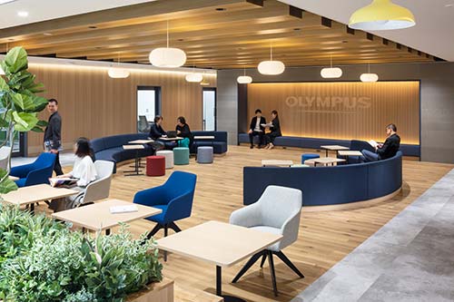 Inside the office 3