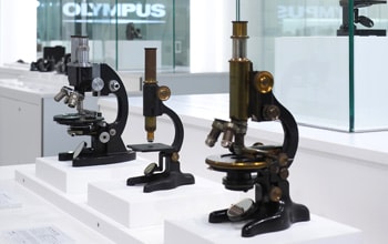 Microscope Photo (02)