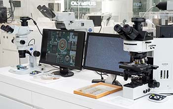 Microscope Photo (03)